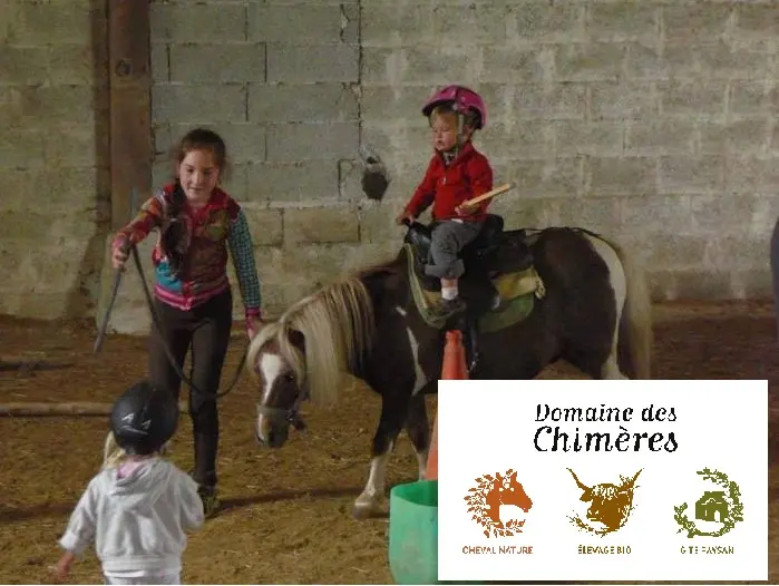 equimotricité-domaine-des-chimeres-cheval-nature-le-saint-morbihan-bretagne-700x525