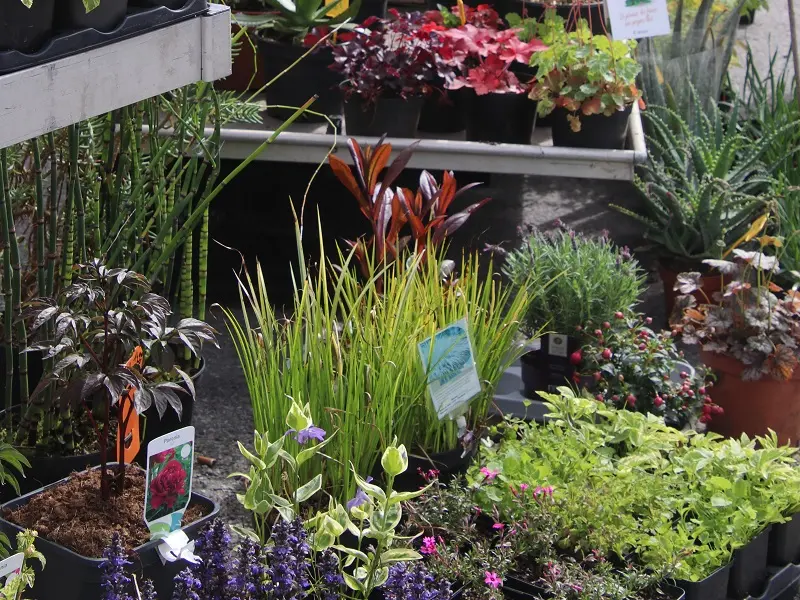 fete du vegetal - Ploërmel - Morbihan