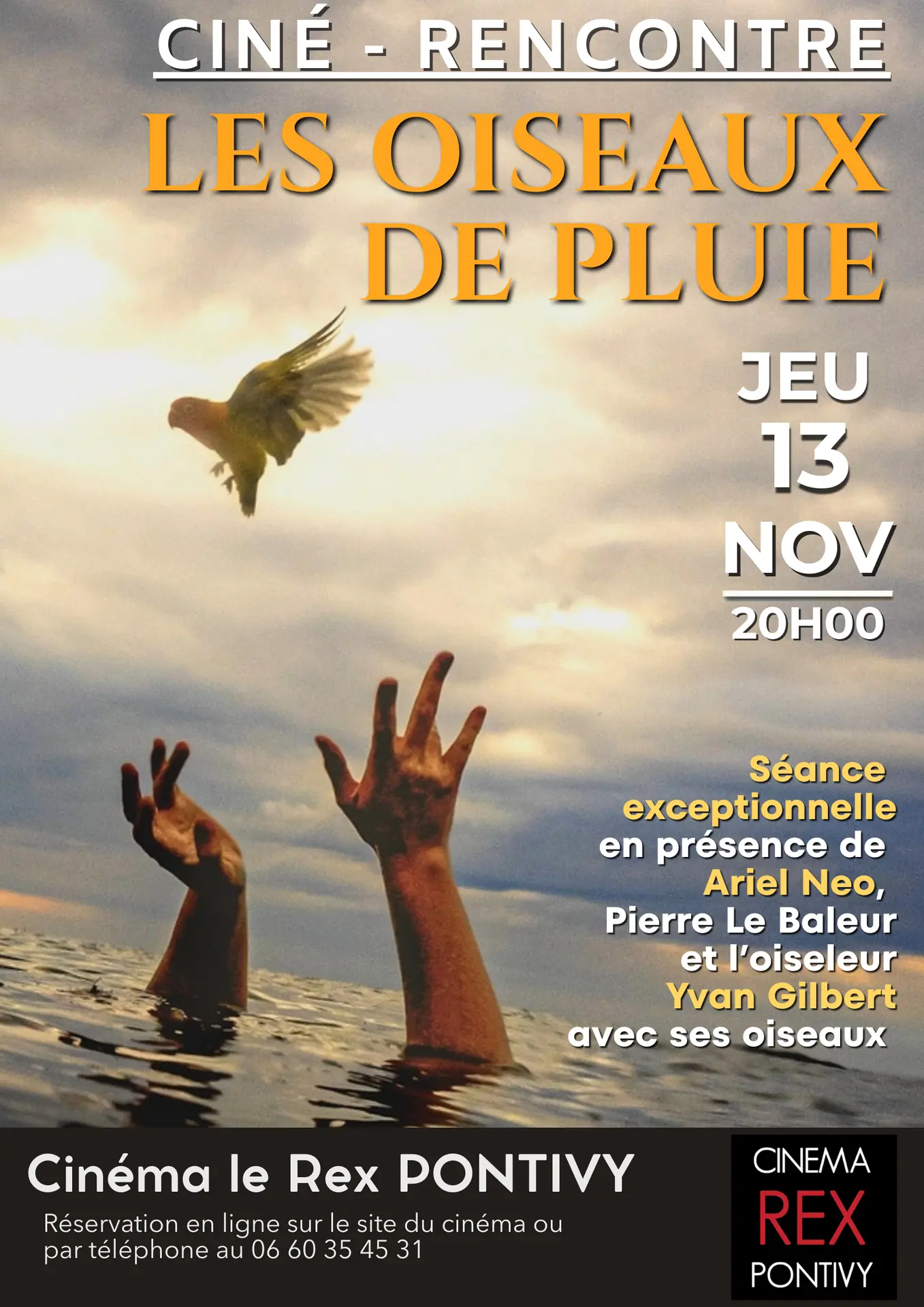 Les oiseaux de Pluie