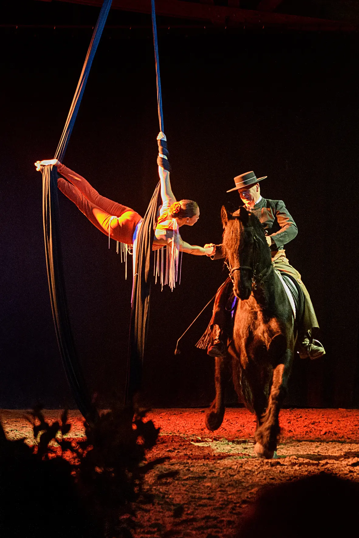 Les chevaux dansent à la bodega