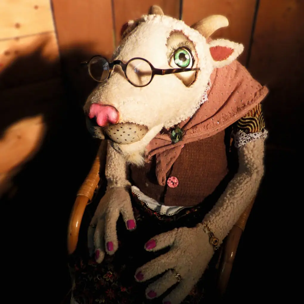 Les histoire de poches de Molly Biquette