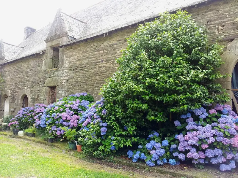 manoir de Boyac - Ploërmel - Brocéliande - Bretagne