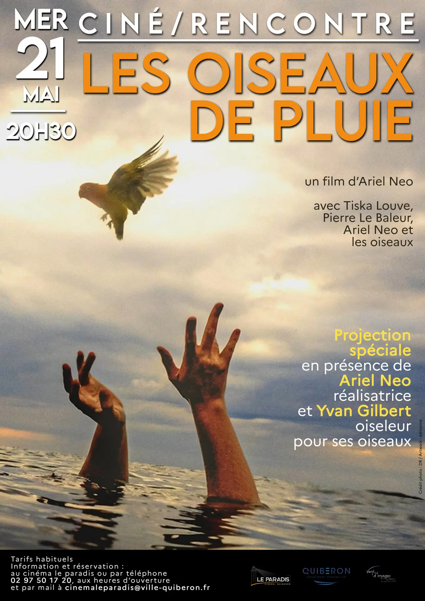 oiseauxdepluie02-scaled