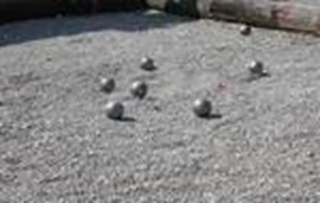 PétanqueQuiberon