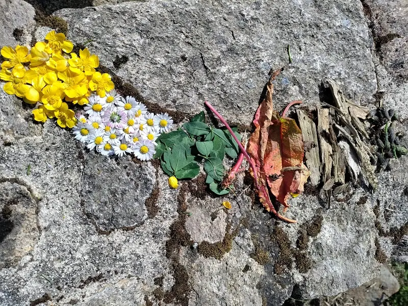 animation nature - Loyat - Morbihan