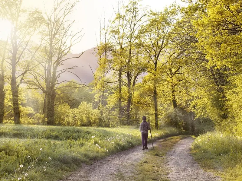 Marche gourmande - Guillac - Destination Brocéliande