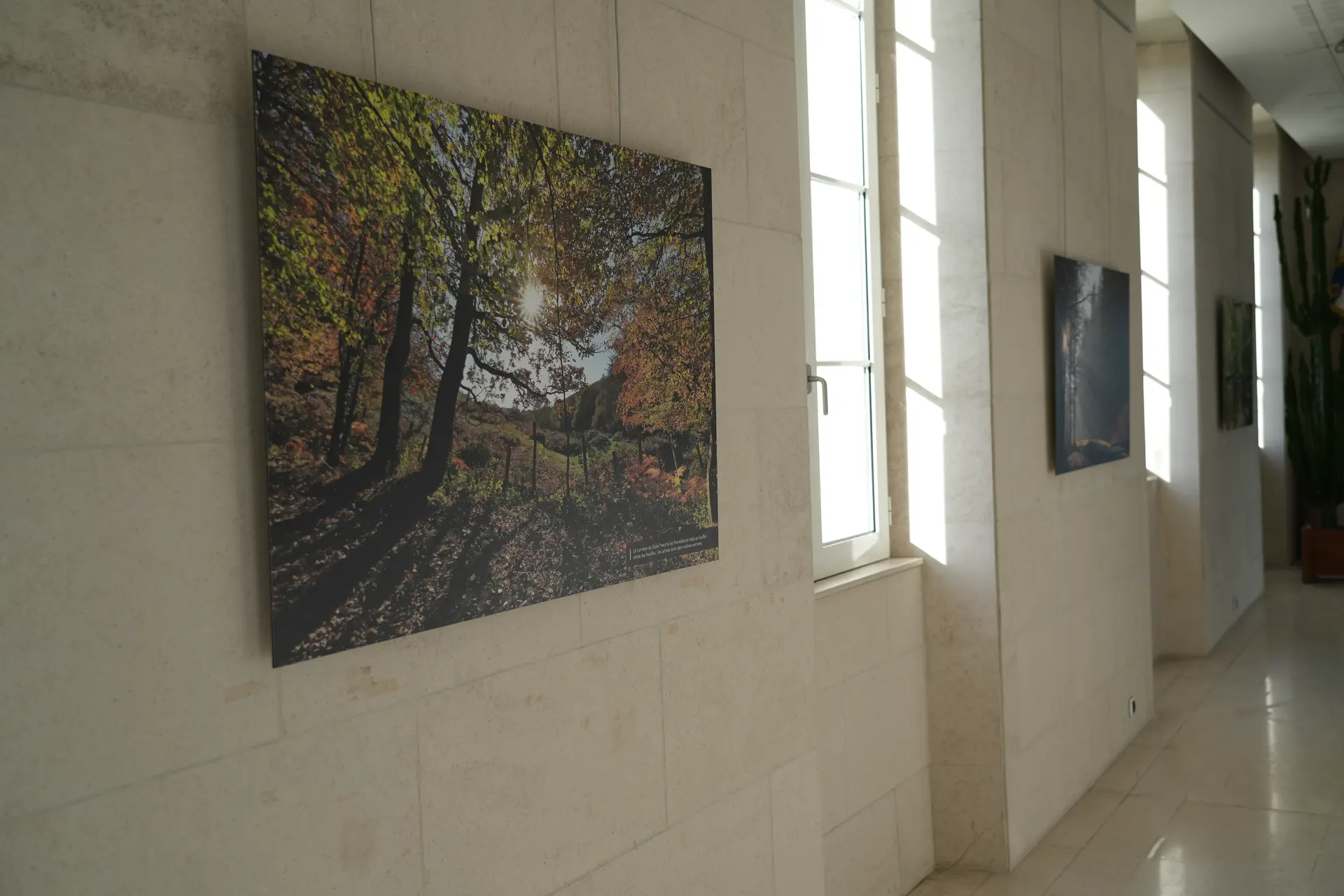 Exposition “En forêt”