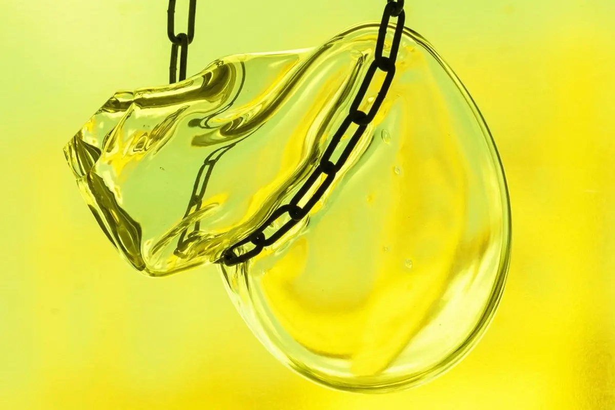 ©Fanny Trichet En Transparence