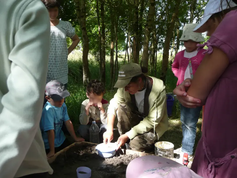 Sur les traces des animaux - Activité Terres d'Oiseaux - 800x600
