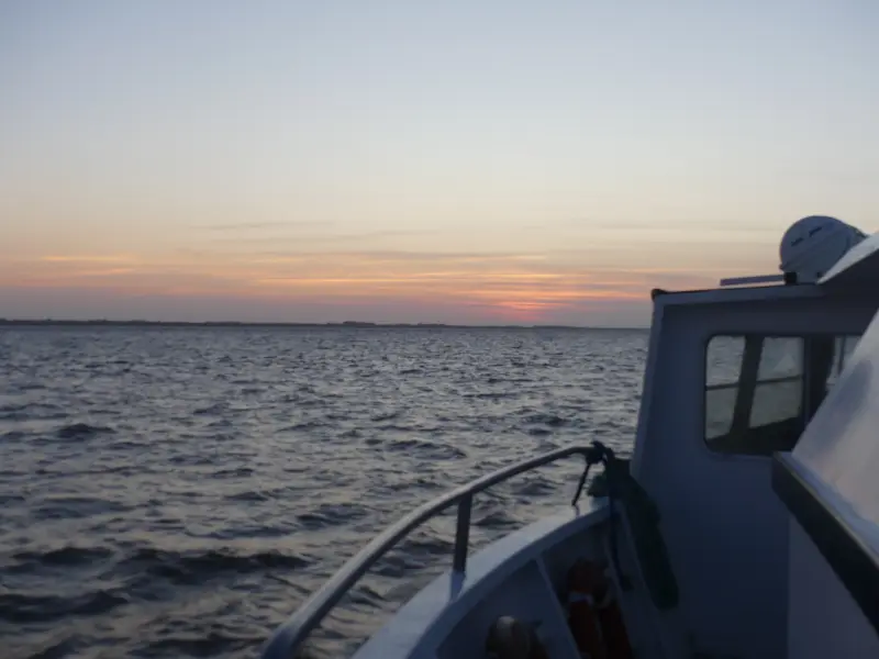 Croisière Terres d'Oiseaux - 800x600