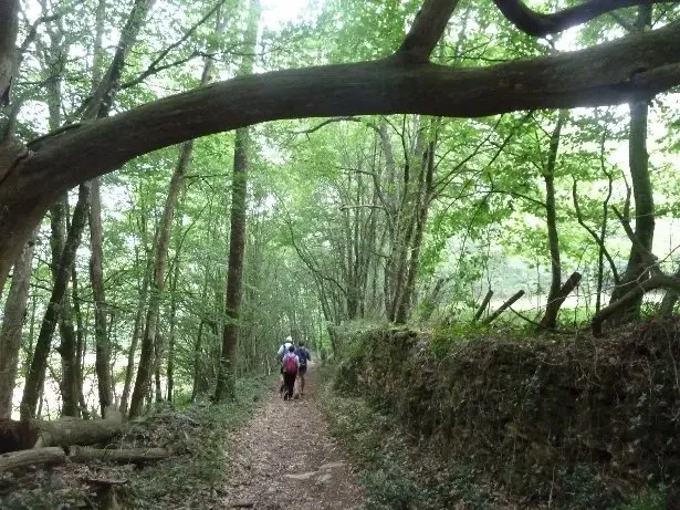 Copy-of-Fumel-Vallee-du-Lot--Asso-Les-Chemins-de-Thezac-Rando--6--3