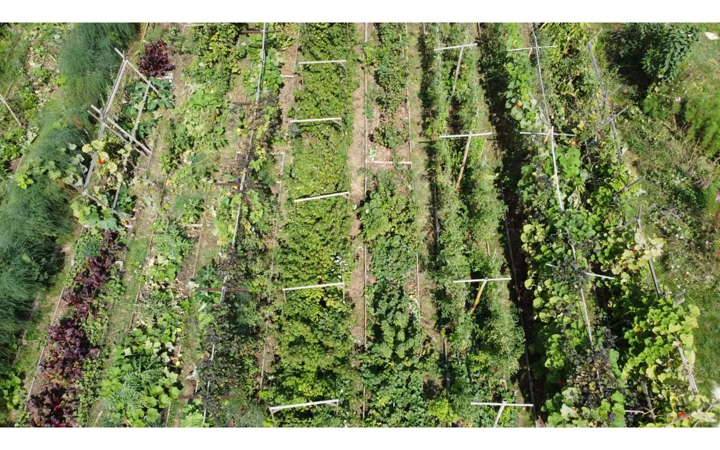 DJI-0564-1500x844