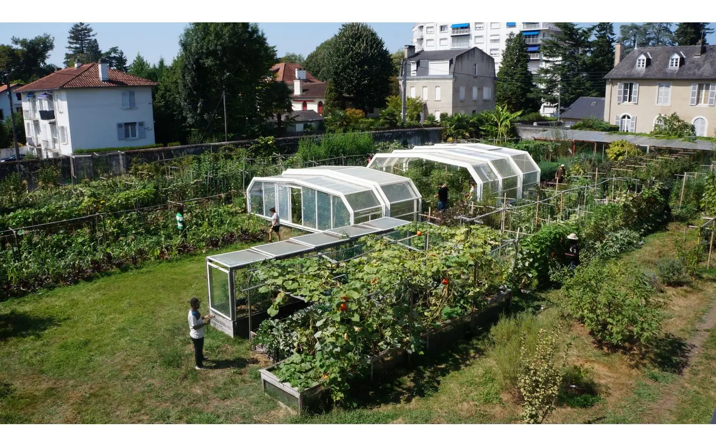 Jardin