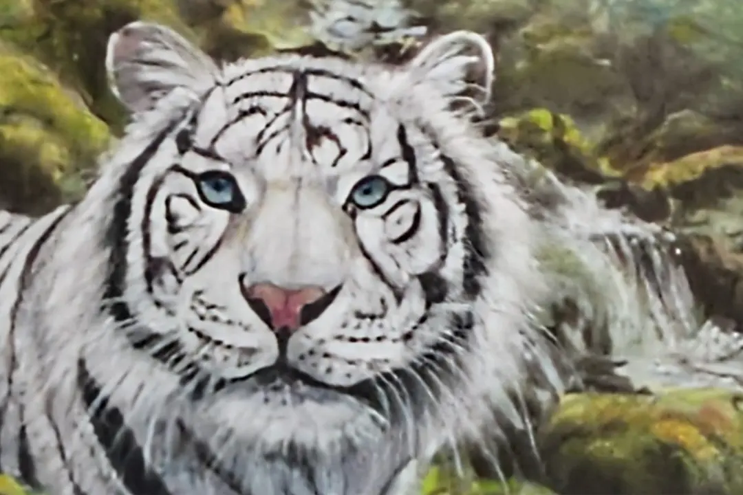 Expo-de-Pastels