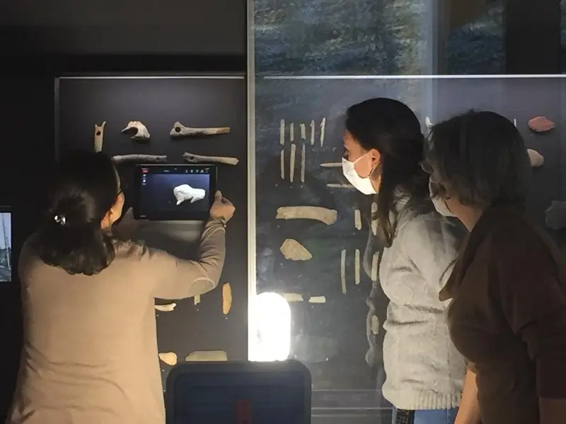 FMA_PCU_Visite_virtuelle_live_Musée_Préhistoire_février2021
