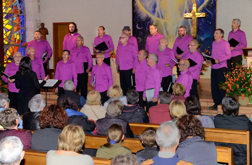 Vox vesunna 1024-673