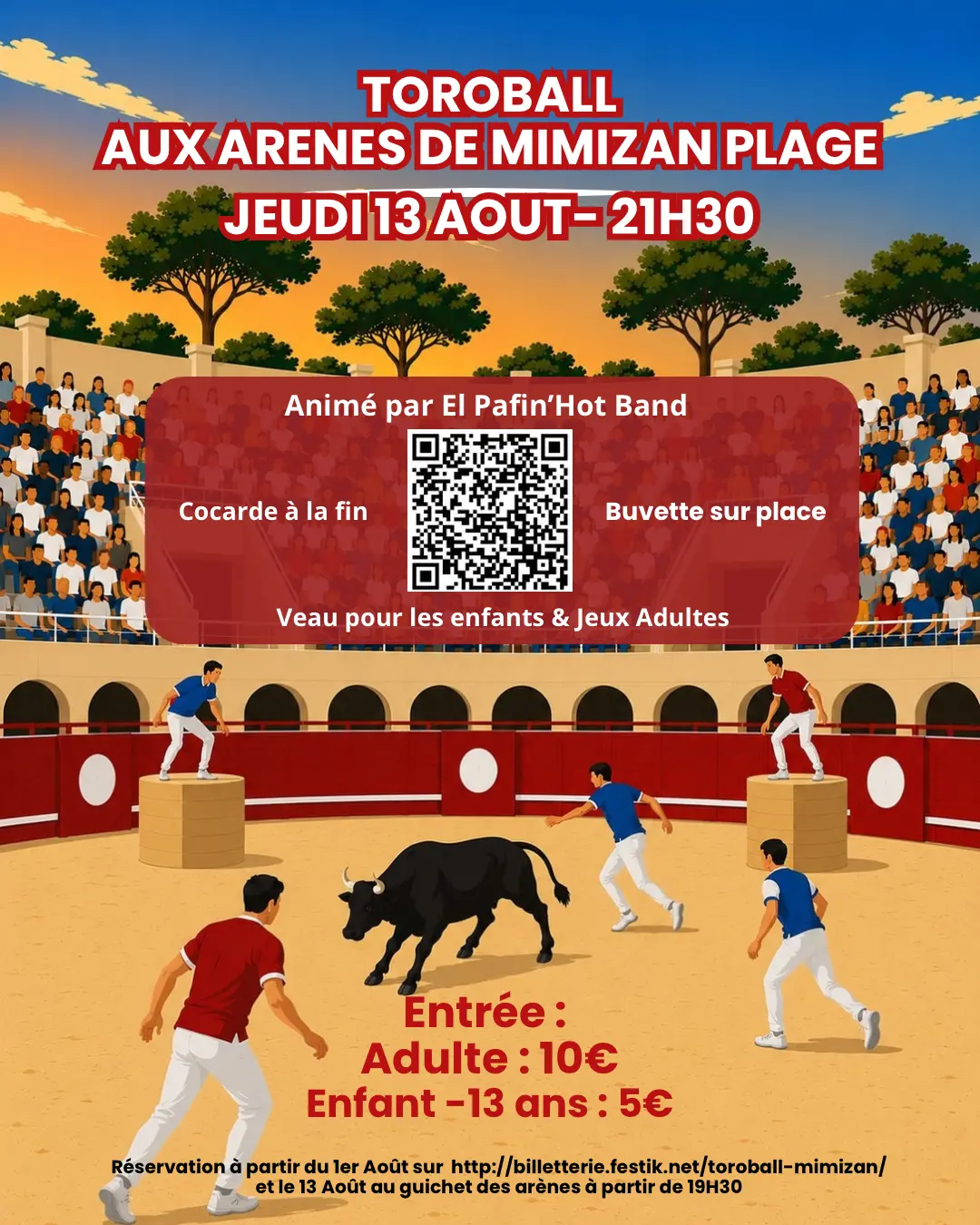 affiche toroball