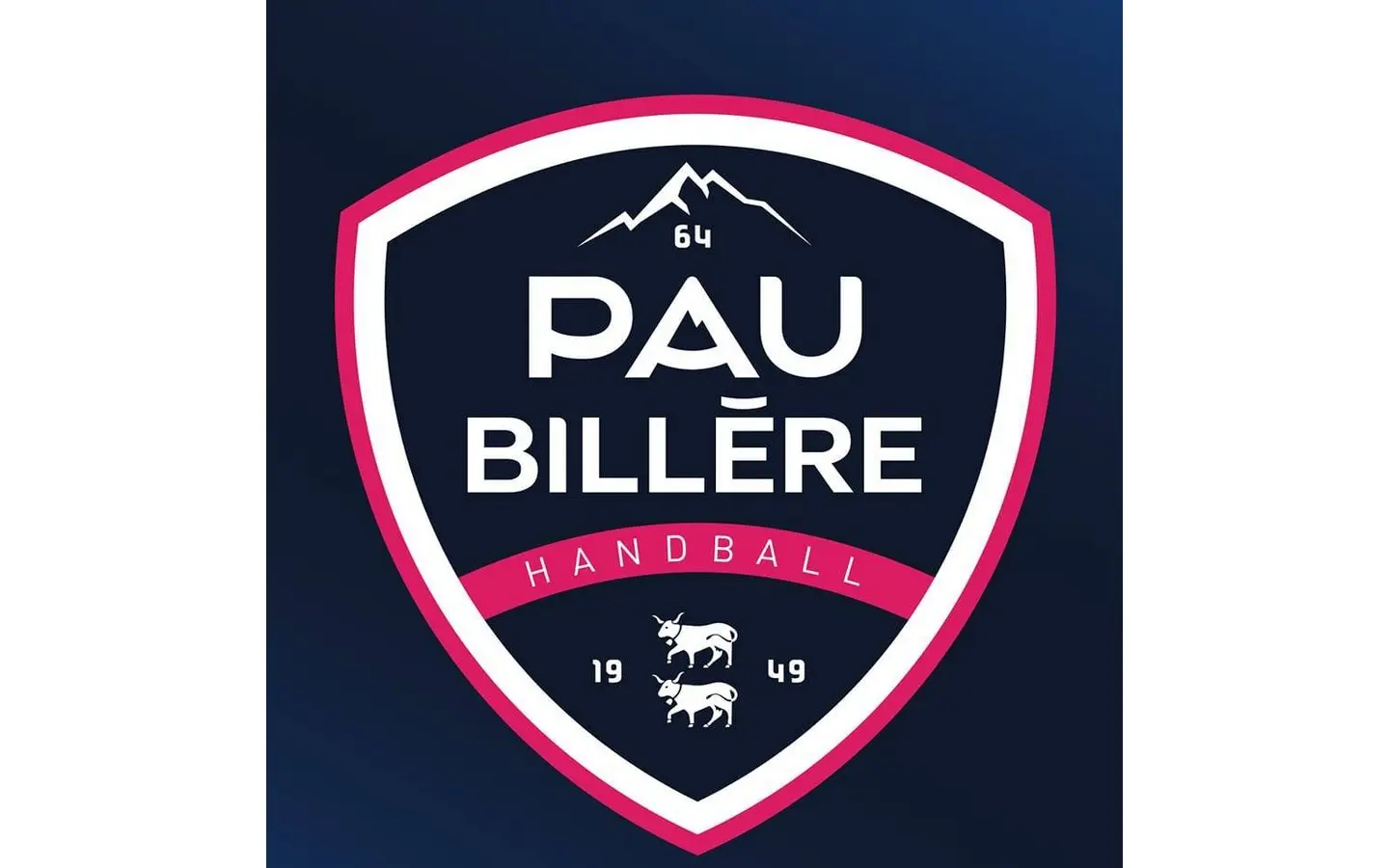 logo billere handball