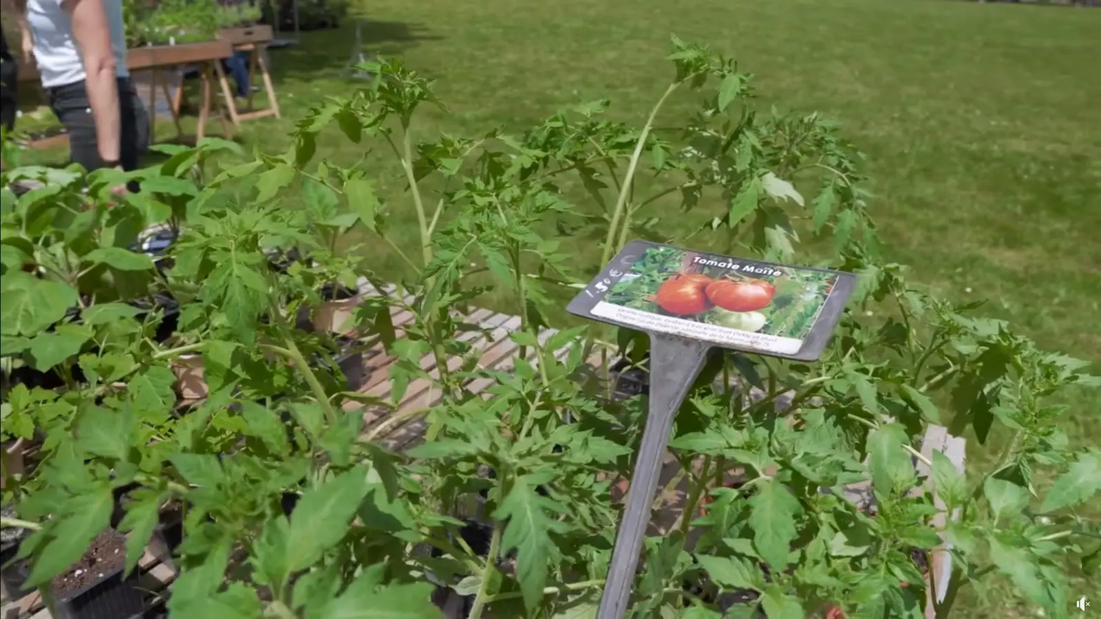 Marché - bizanos - plantations