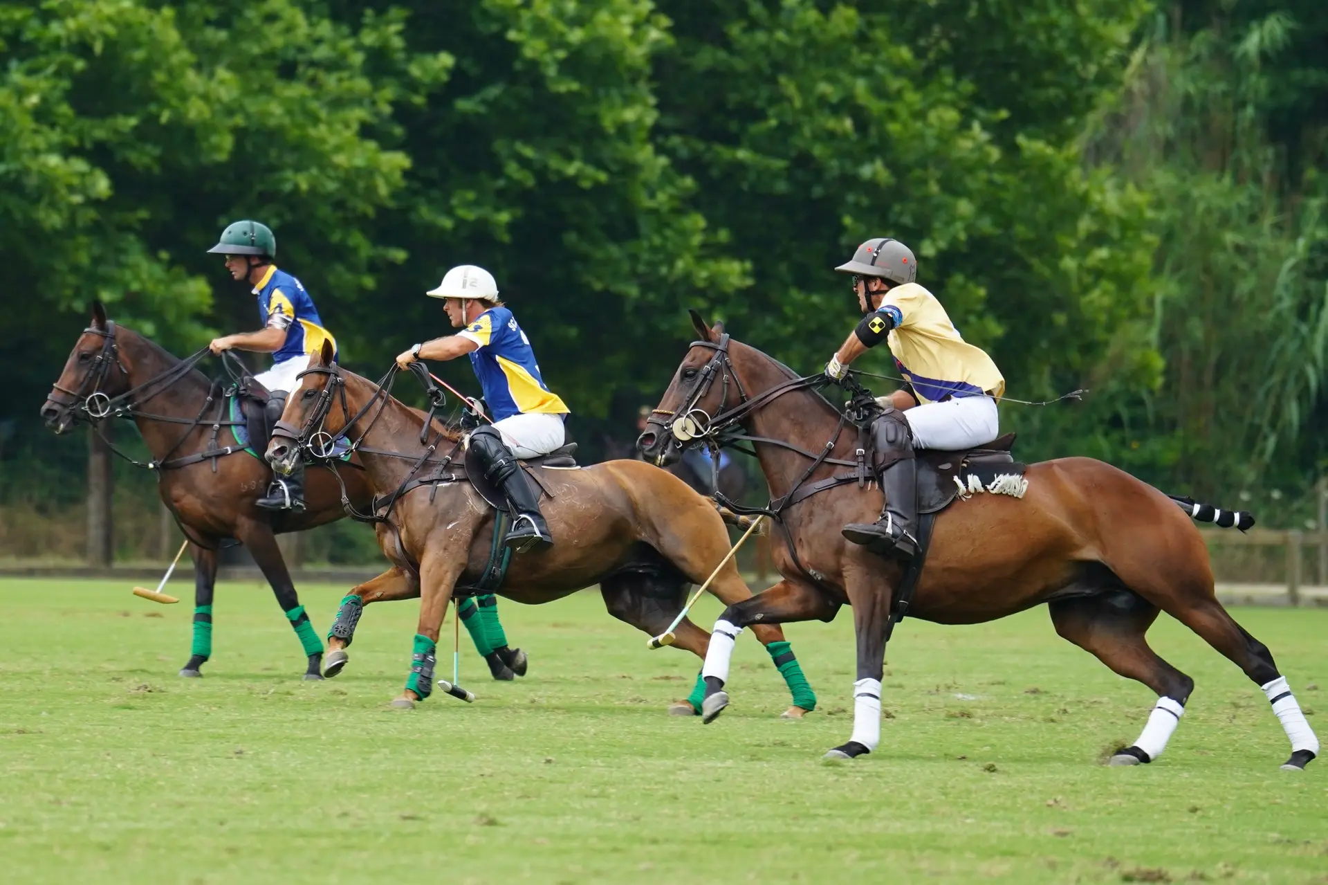 Médoc Polo tournament
