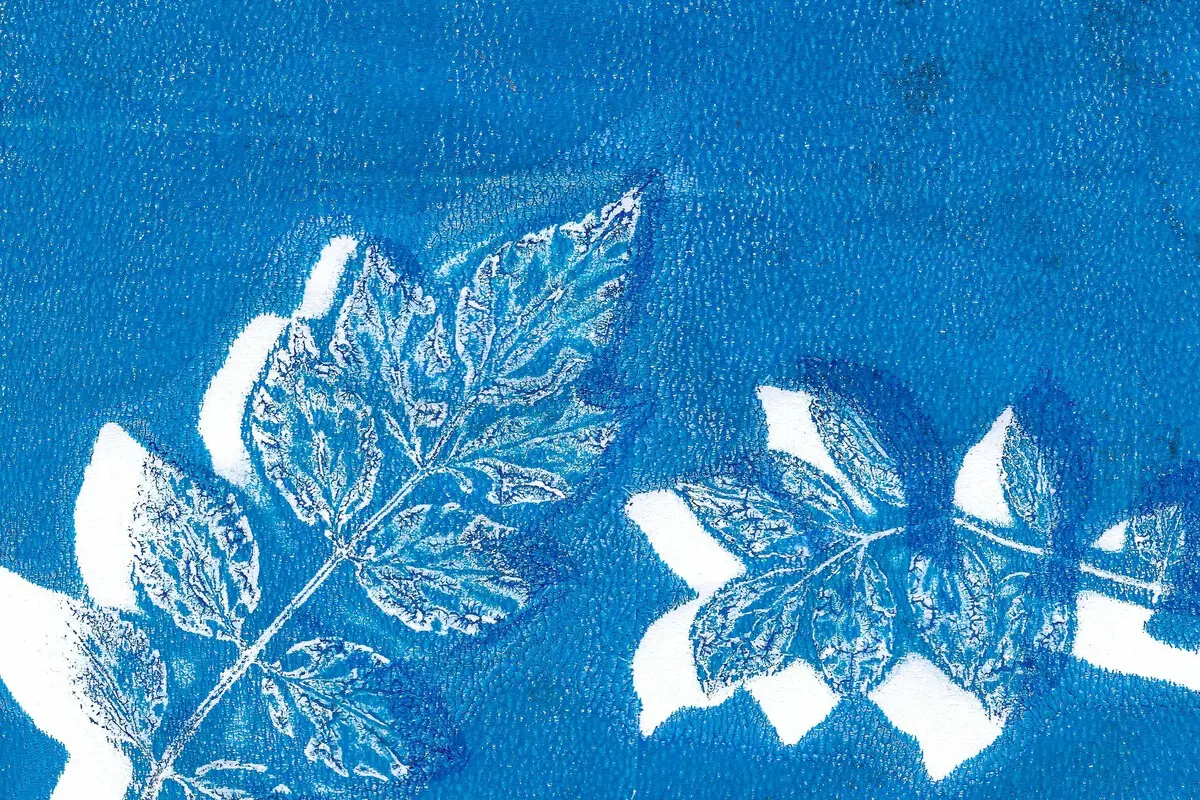 Cyanotype