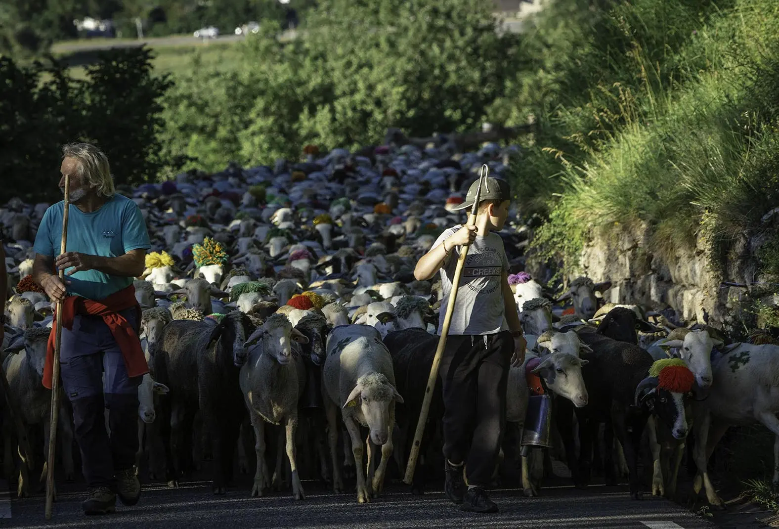 ©aspani-transhumancedesoulan (1)