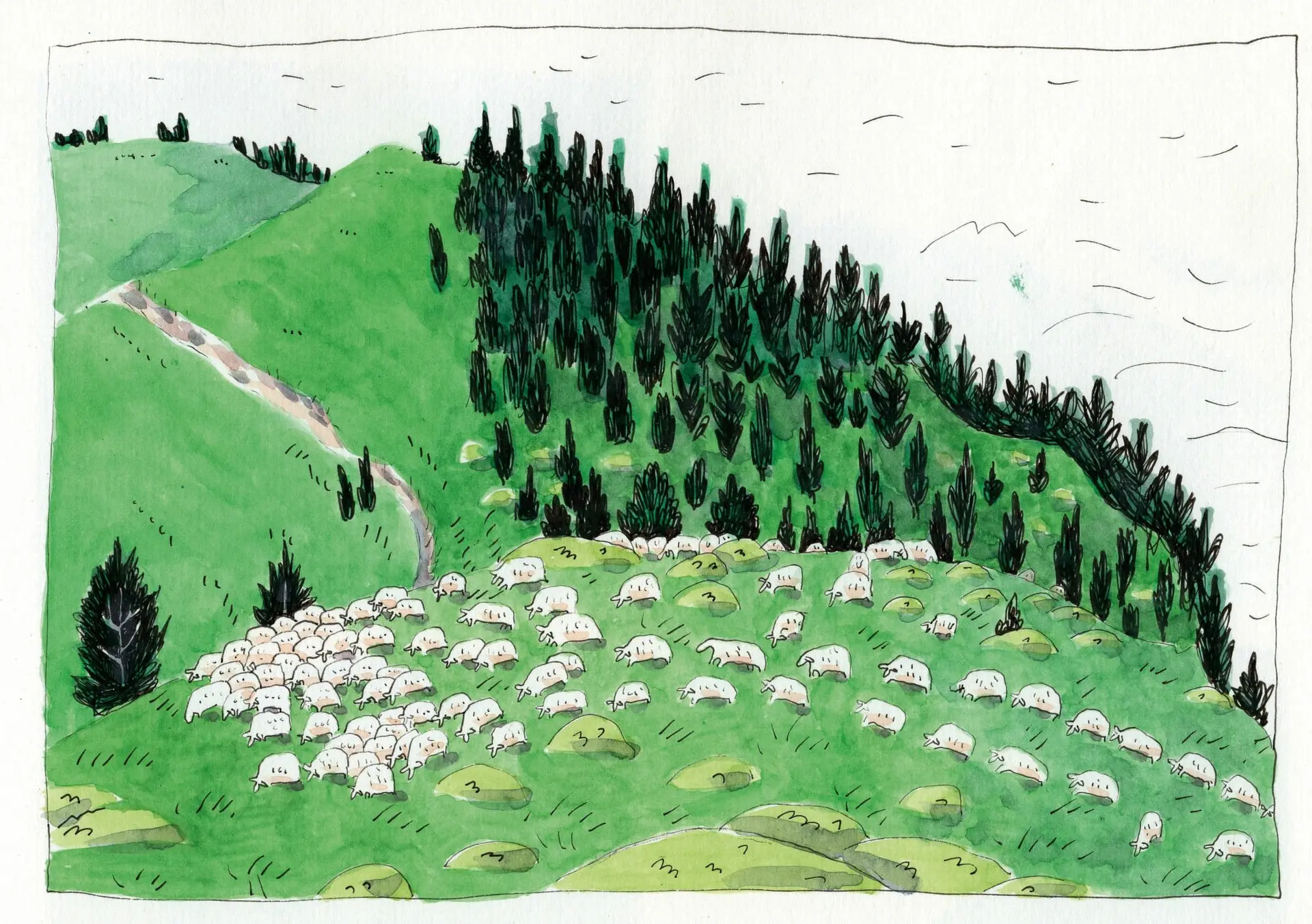 Conférence florence-debove