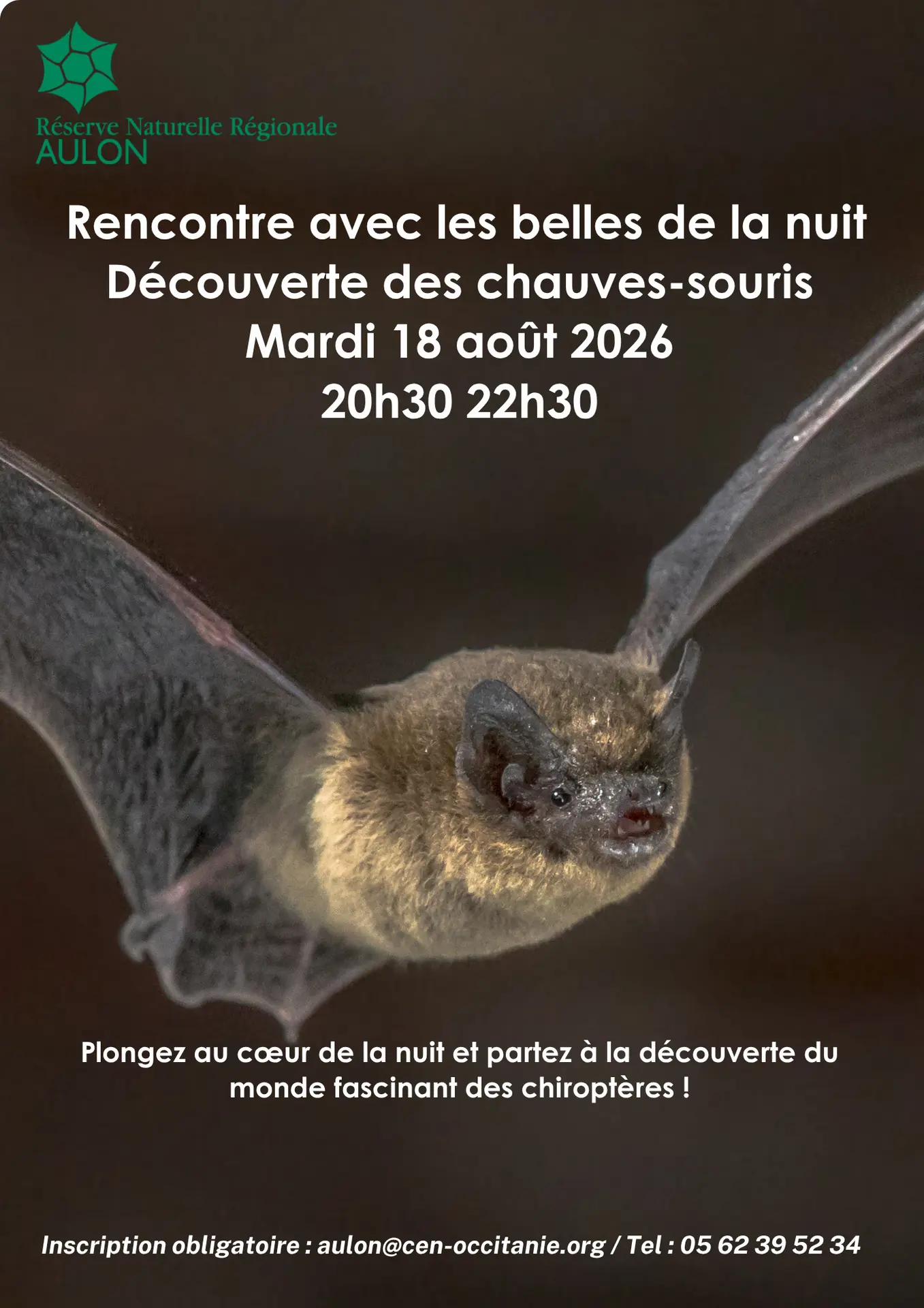 Affiche RNR été 2025 - 2026_chauvessouris