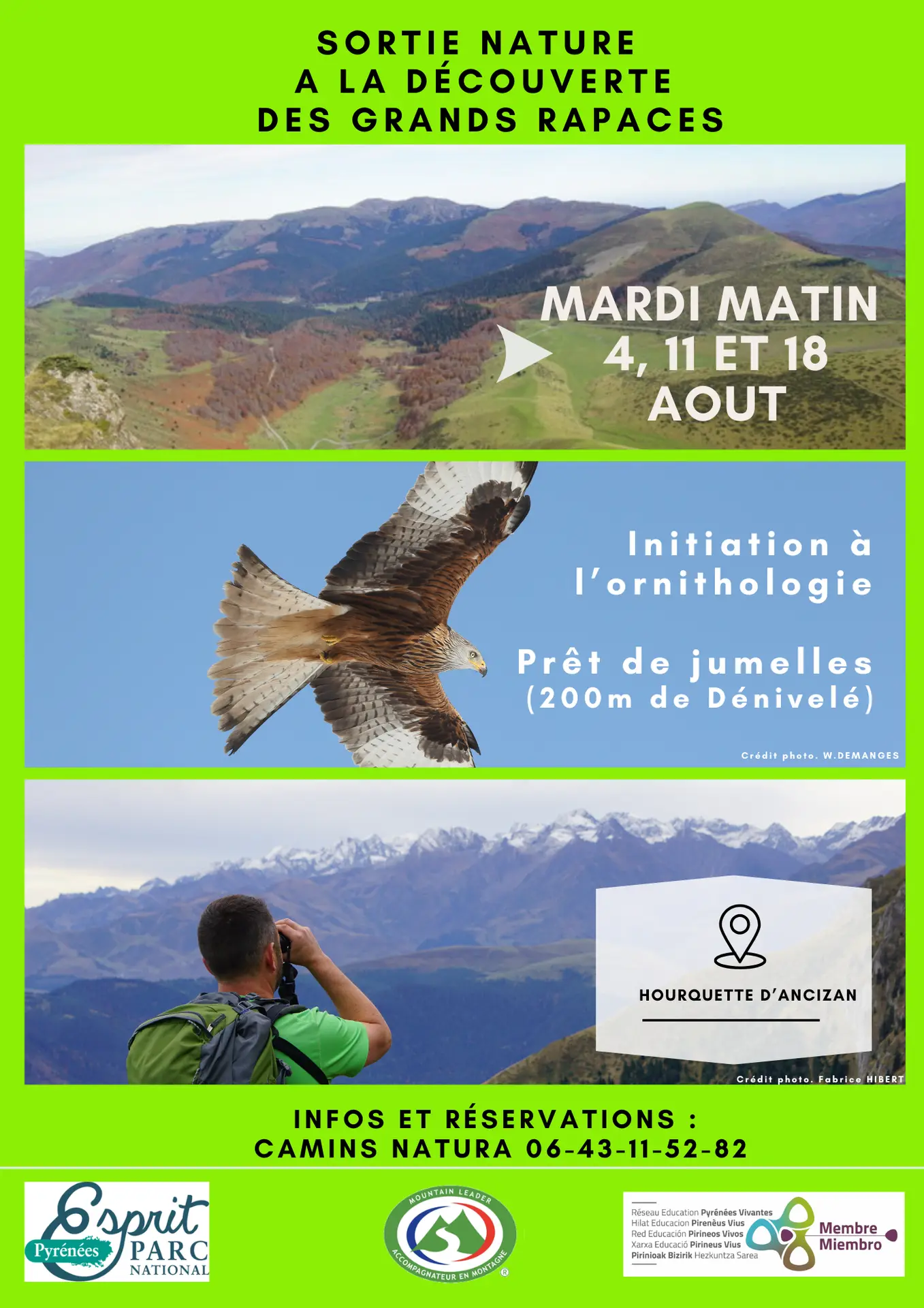 A la découverte des grands rapaces - 1