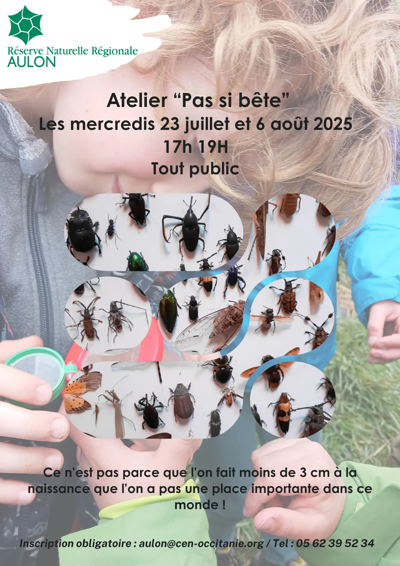 Affiche RNR Pas si bête