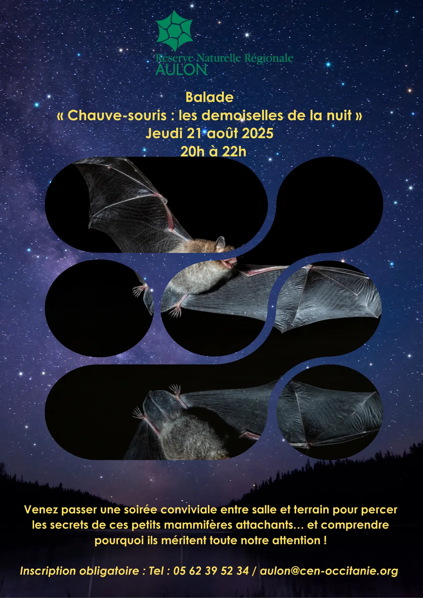 Affiche RNR Chauve souris