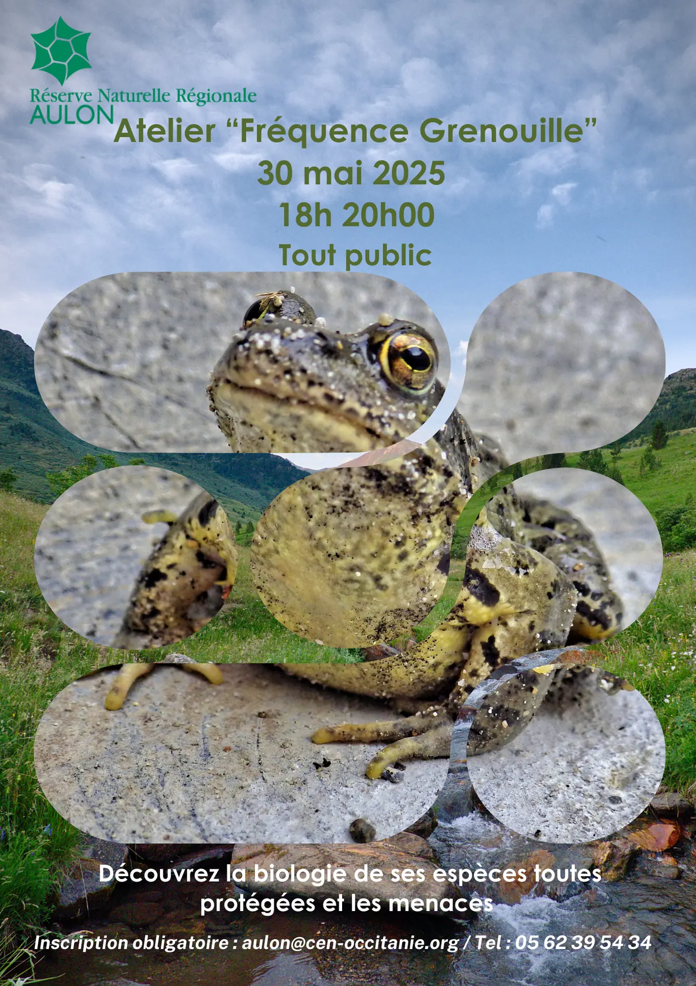 Affiche RNR Fréquence Grenouille - 2