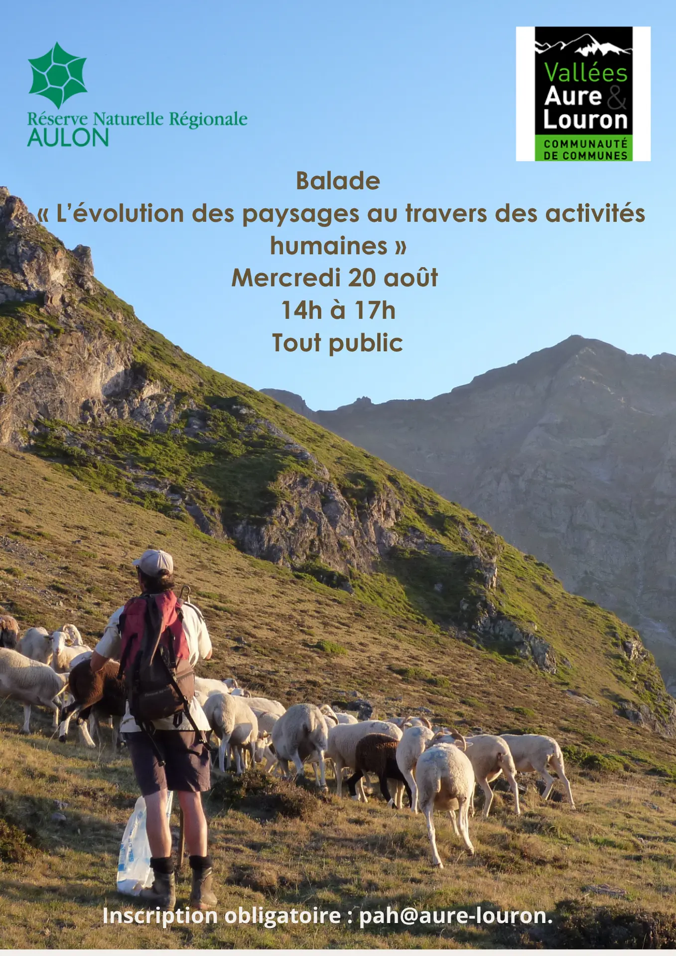 Affiche RNR PAH