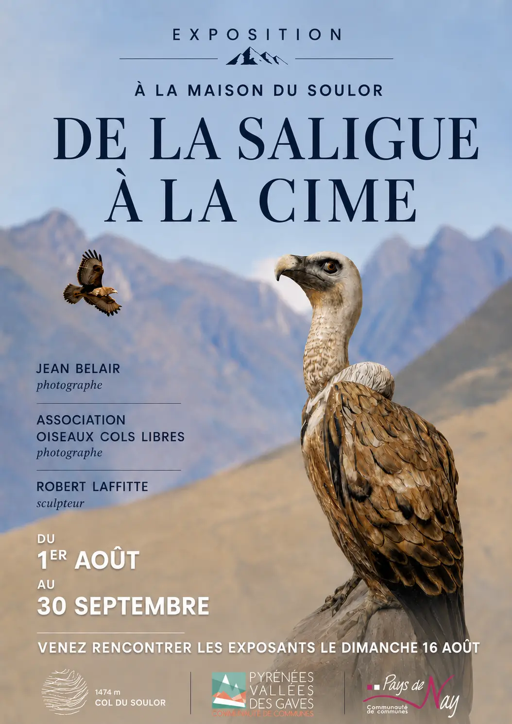 Affiche de la Saligue à la Cime