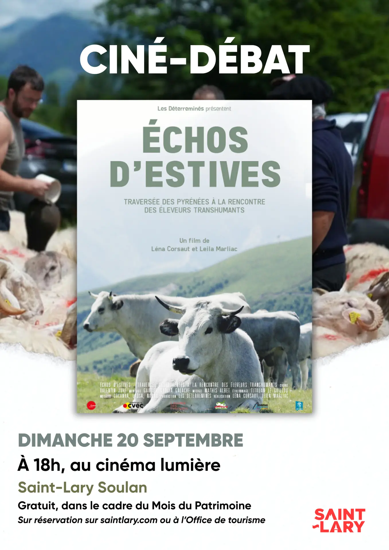 Ciné-débat - 1