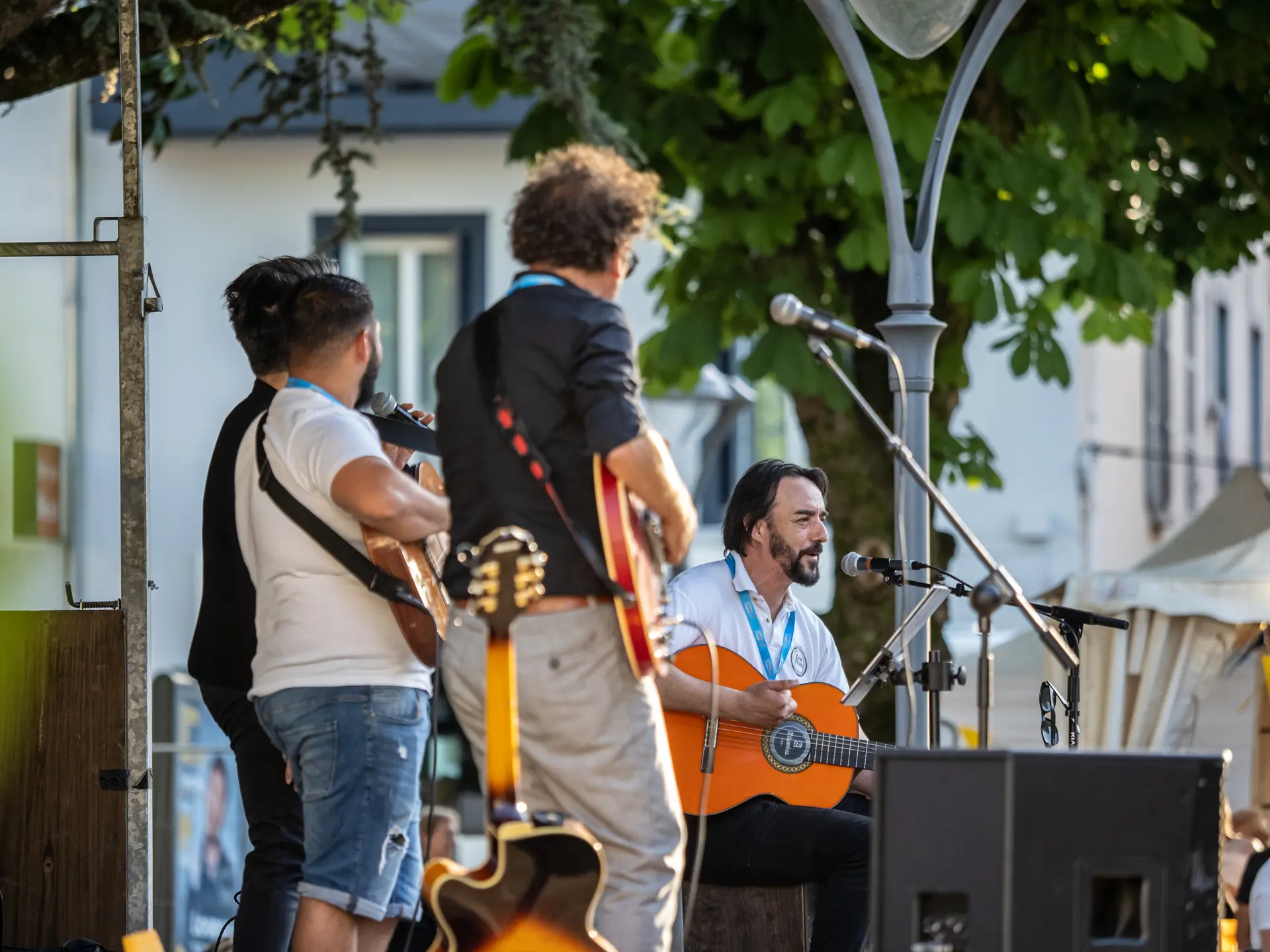 Animation Concert kiosque 3