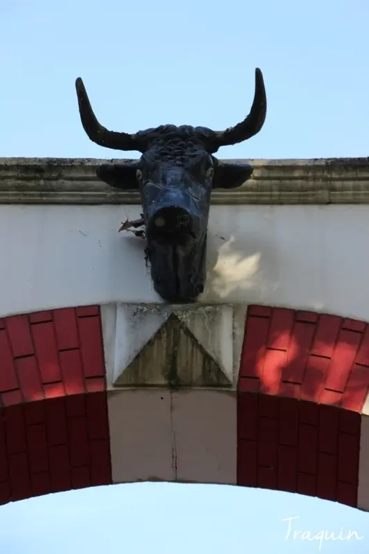 Arènes de Riscle © Tendido Risclois