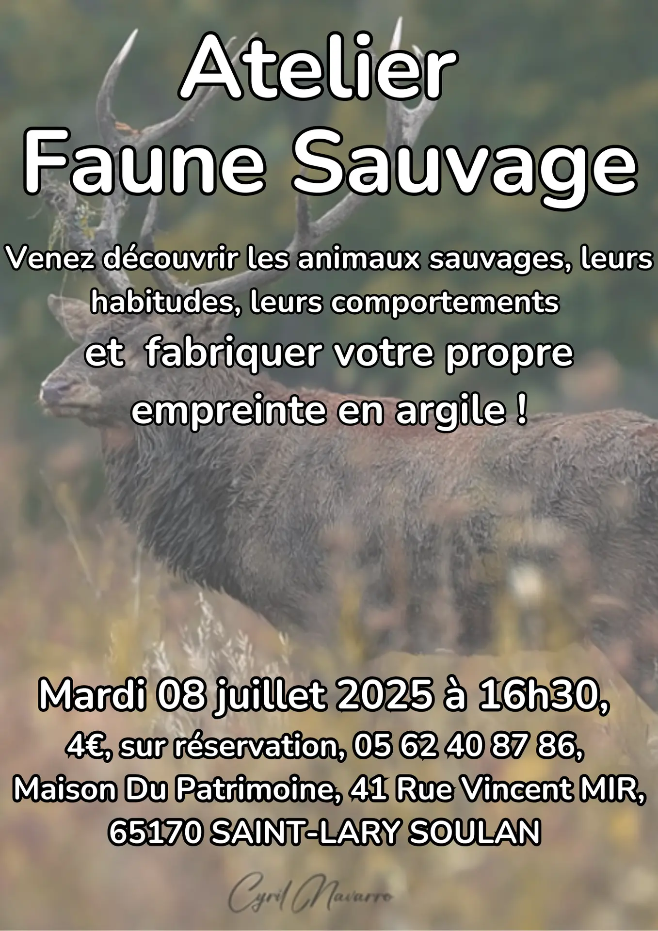 Atelier Faune Sauvage - 1