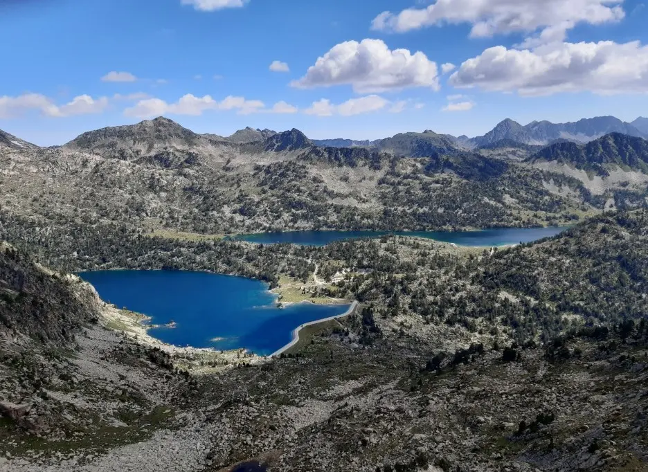 Aubert