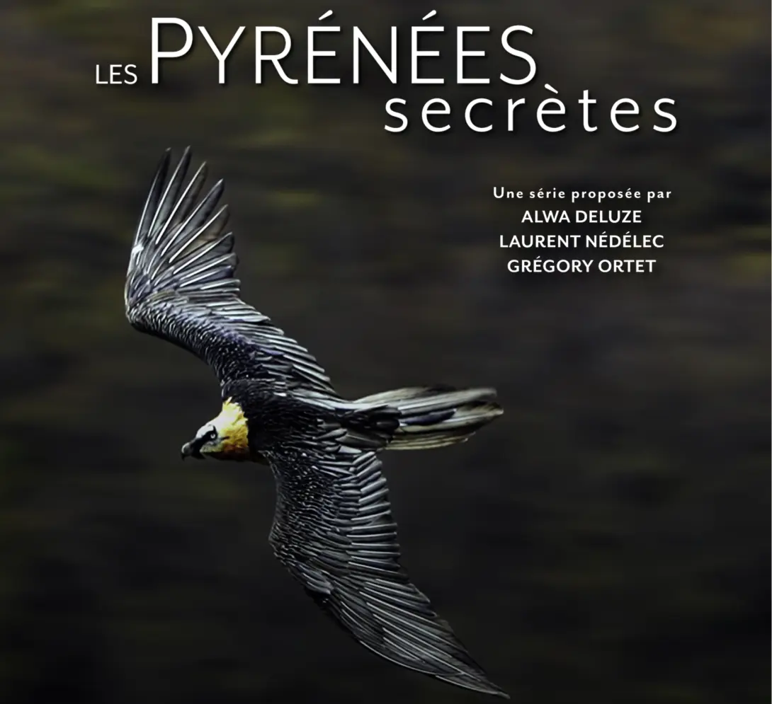 Bannière Gypa_0