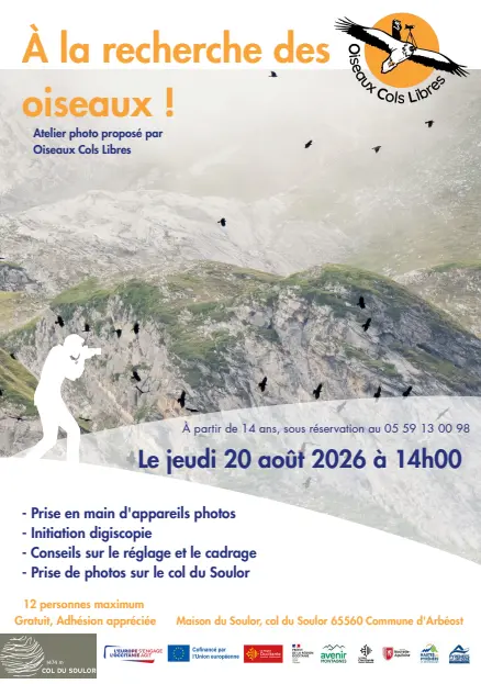 Capture d’écran 2026-08-06 173326