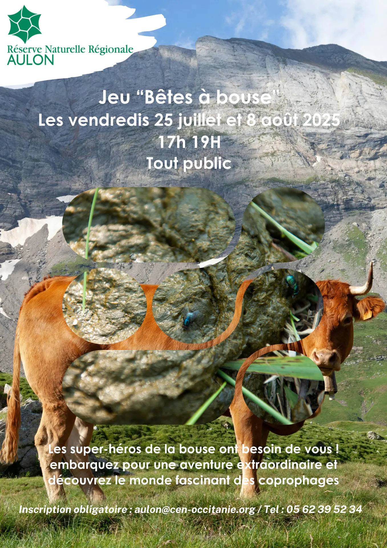 Copie de Affiche RNR Bête à bouse