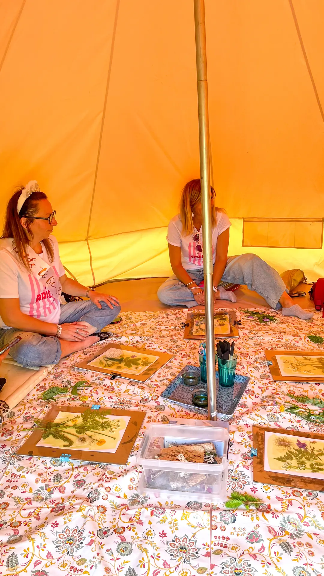 Cyanotype Tipi 2