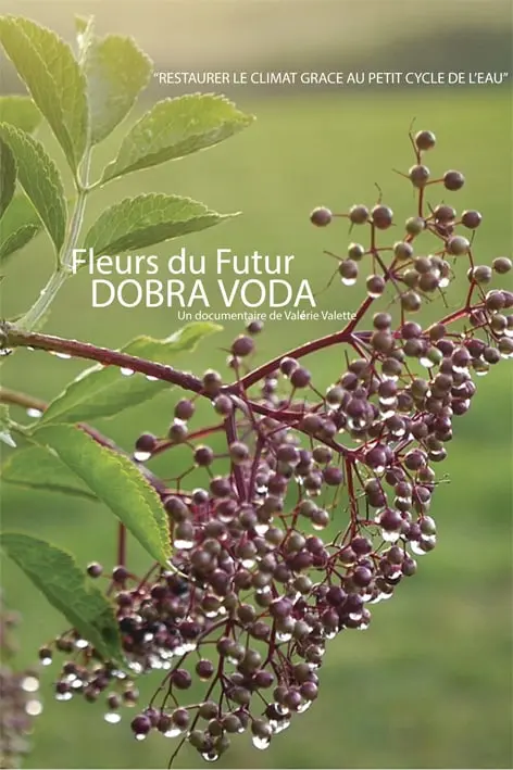 Jacket dossier presse Val