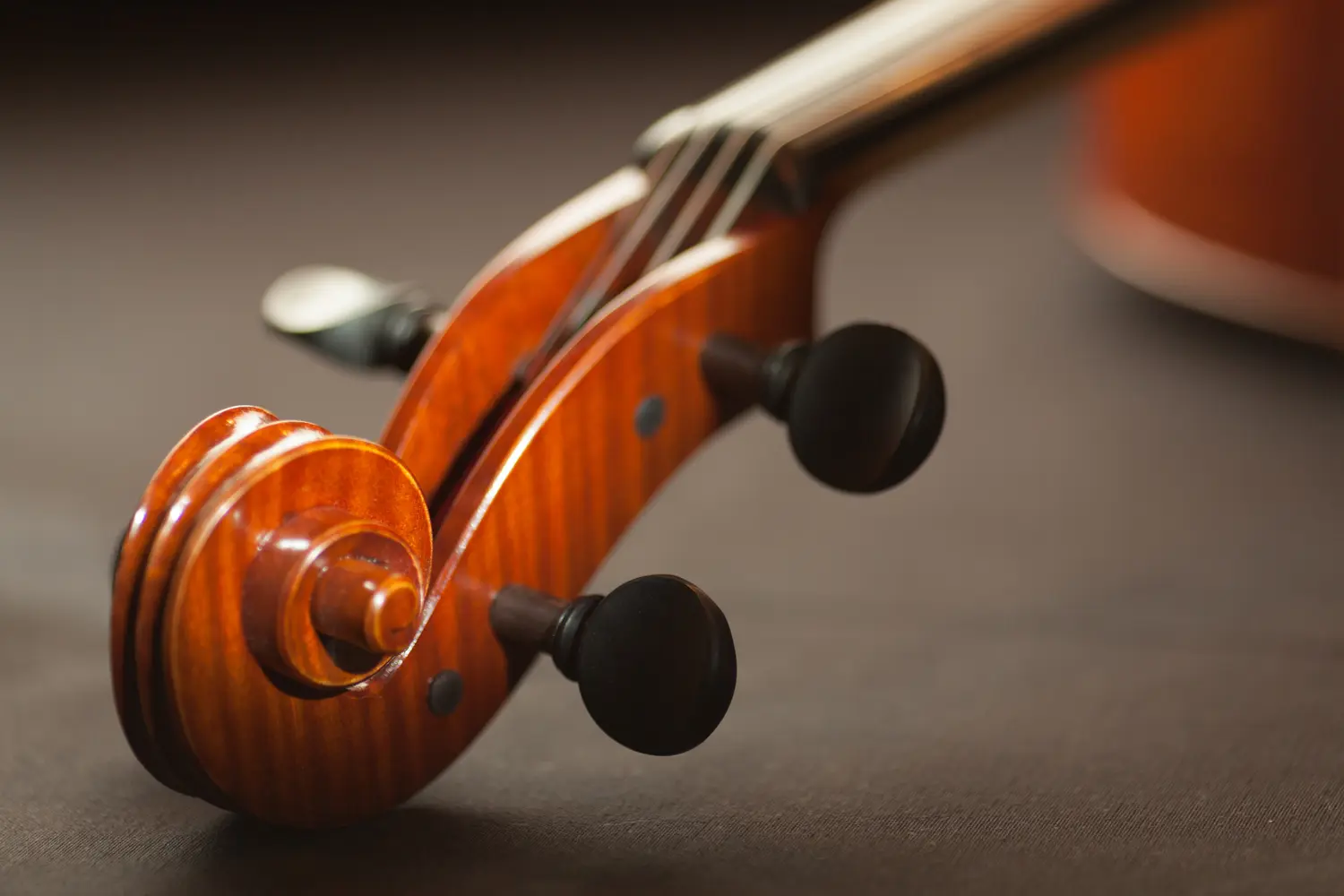 Instrument à cordes © Méline Waxx on Pexels