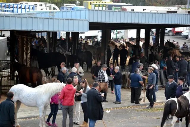 Lourdes-foire-aux-chevaux 2025