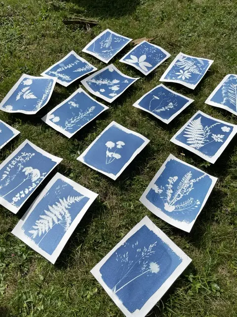 Rndo Cyanotype 4