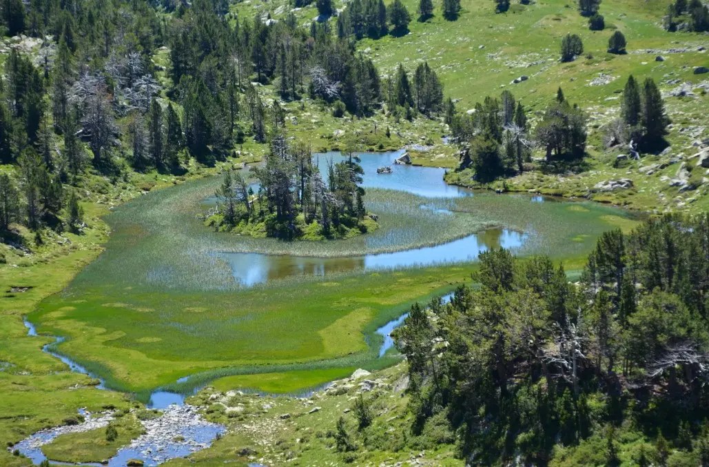 Tourbière