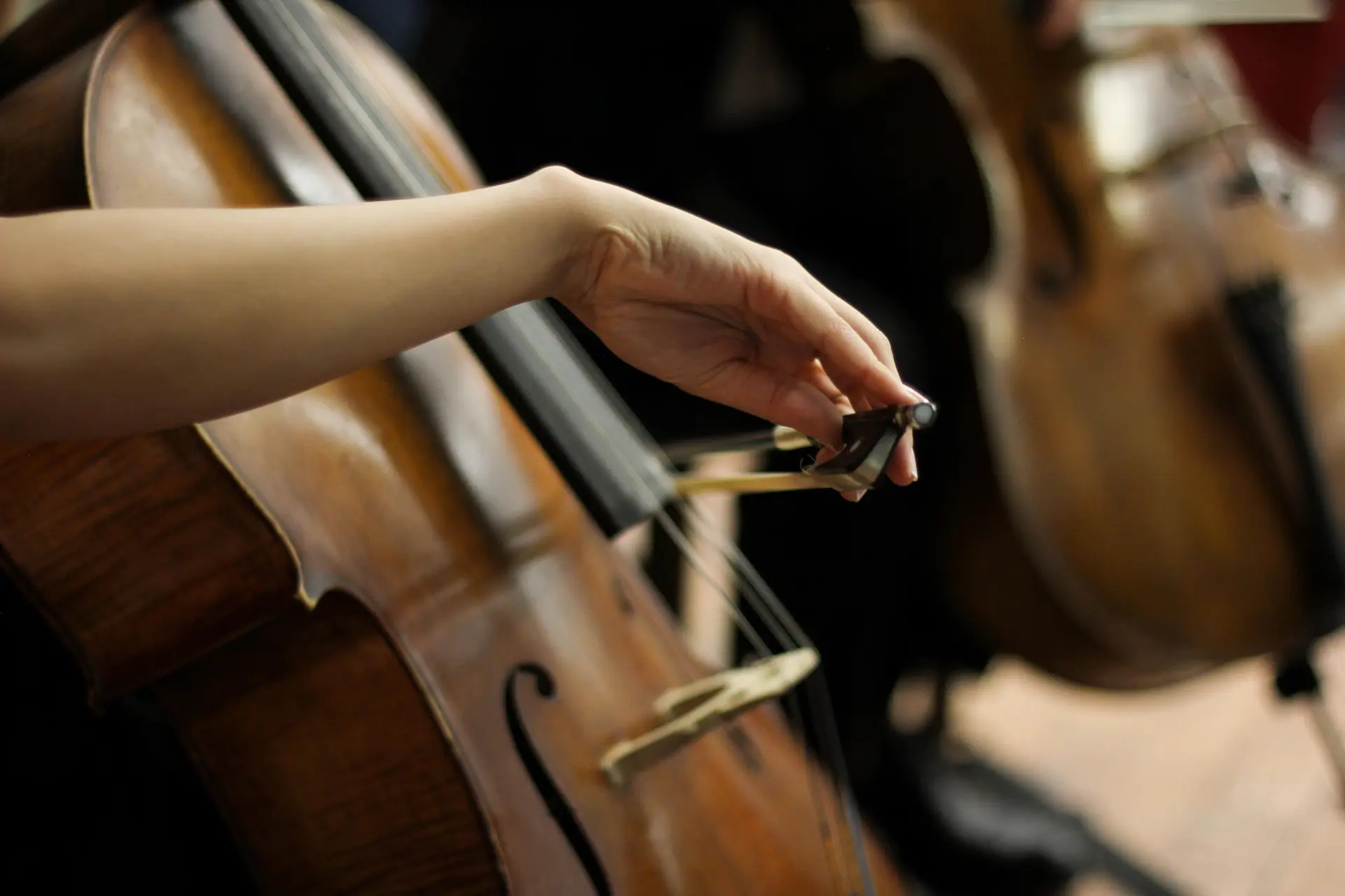 Violoncelle main ©  Burcu Koleli on Pexels