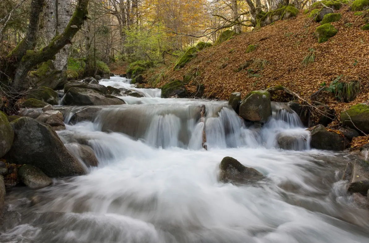 cours d'eau